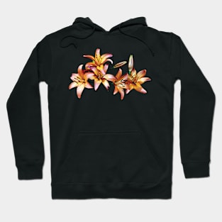 Lilies - Apricot-Colored Lilies Hoodie